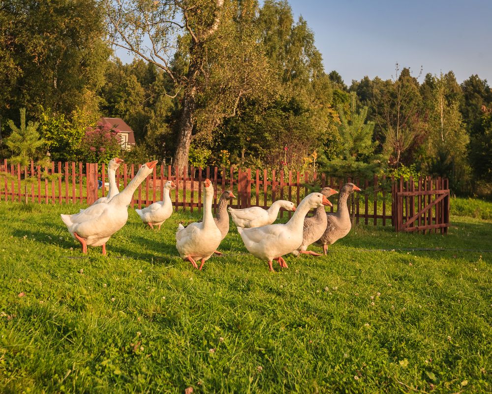 Photograph by Anna Matveeva