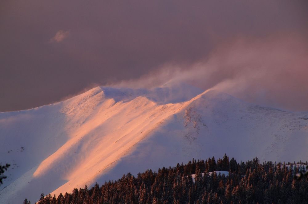 Photograph by Ирина Щеглова