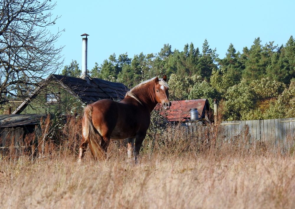 Photograph by Татьяна Калугина