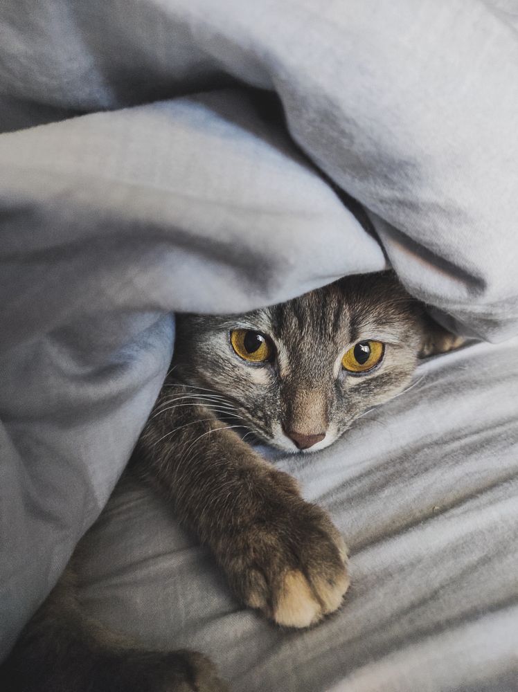 Photograph by Марина Чашина