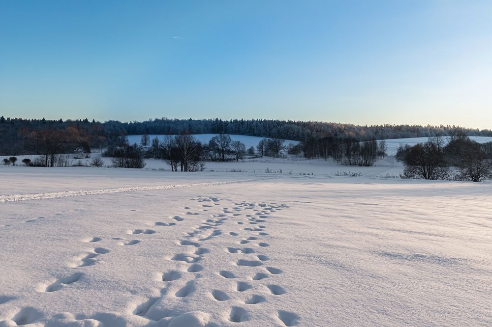 Photograph by Алексей Бирин