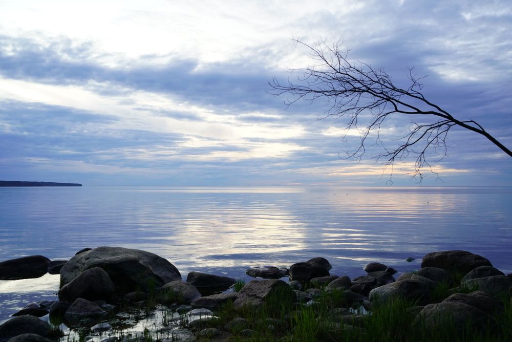 Фотография автора Юлия Овчинникова