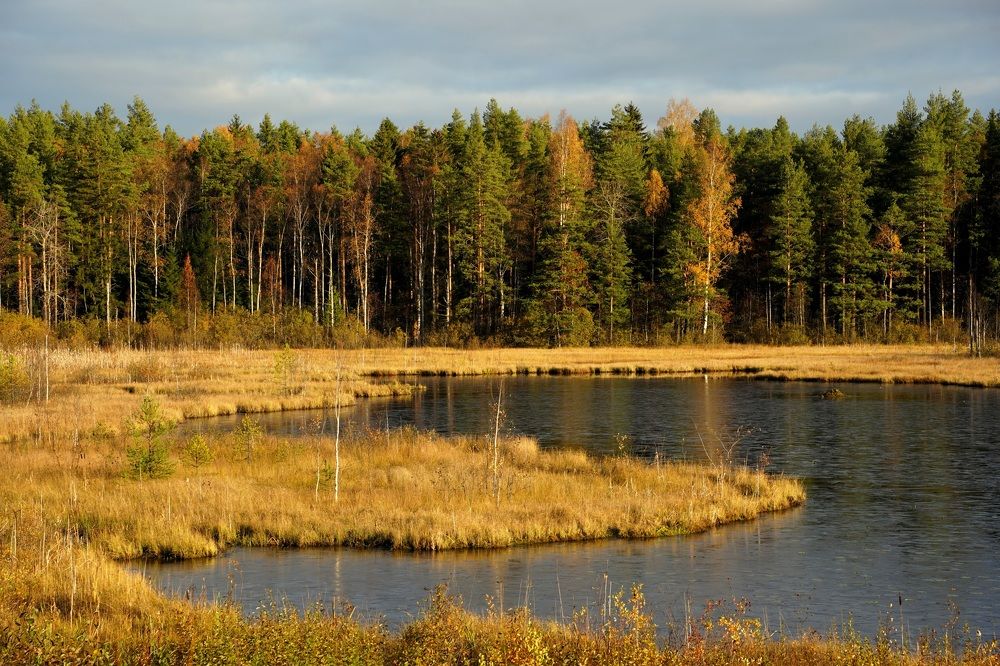 Фотография автора Юлия Овчинникова