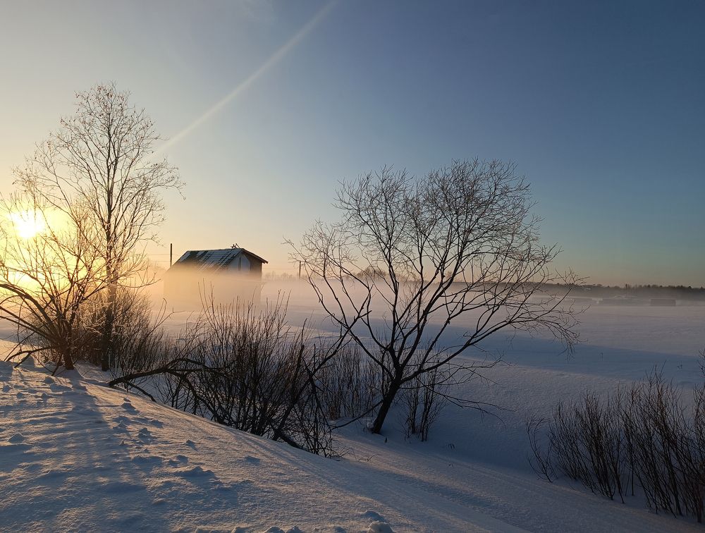 Photograph by Алла Бойко