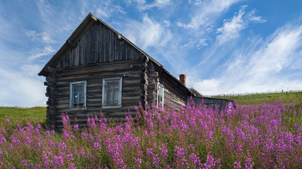 Фотография автора Александр Довганюк