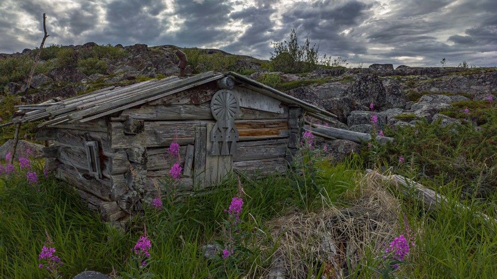 Photograph by Александр Довганюк