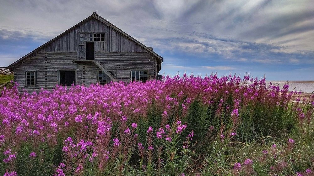 Фотография автора Александр Довганюк