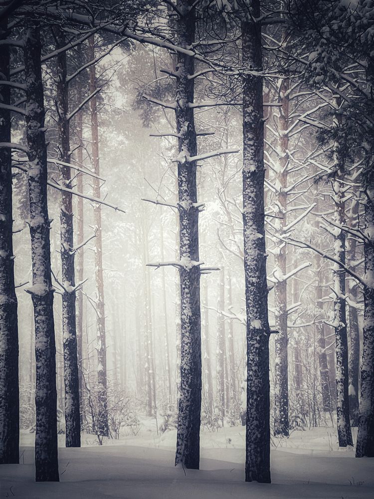 Photograph by Кира Бахвалова