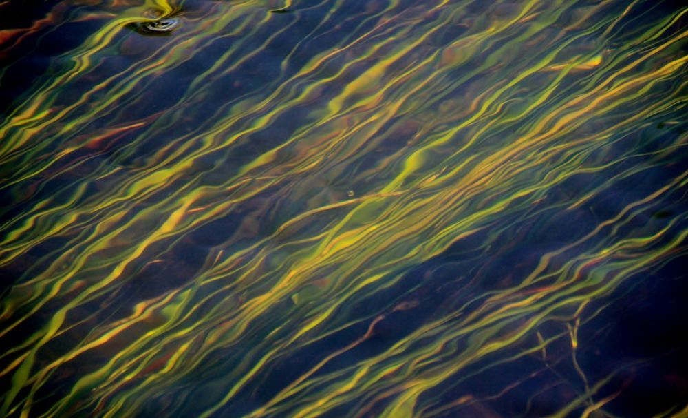 Photograph by Павел Васильев