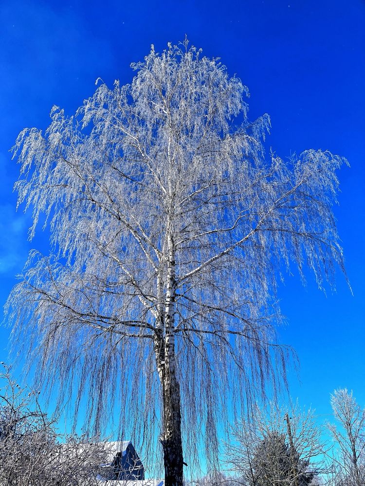 Photograph by Alexandr Shcherbakov