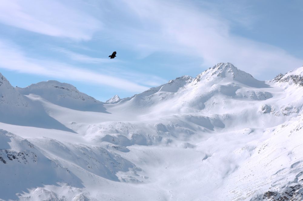 Photograph by Мария Данилкина