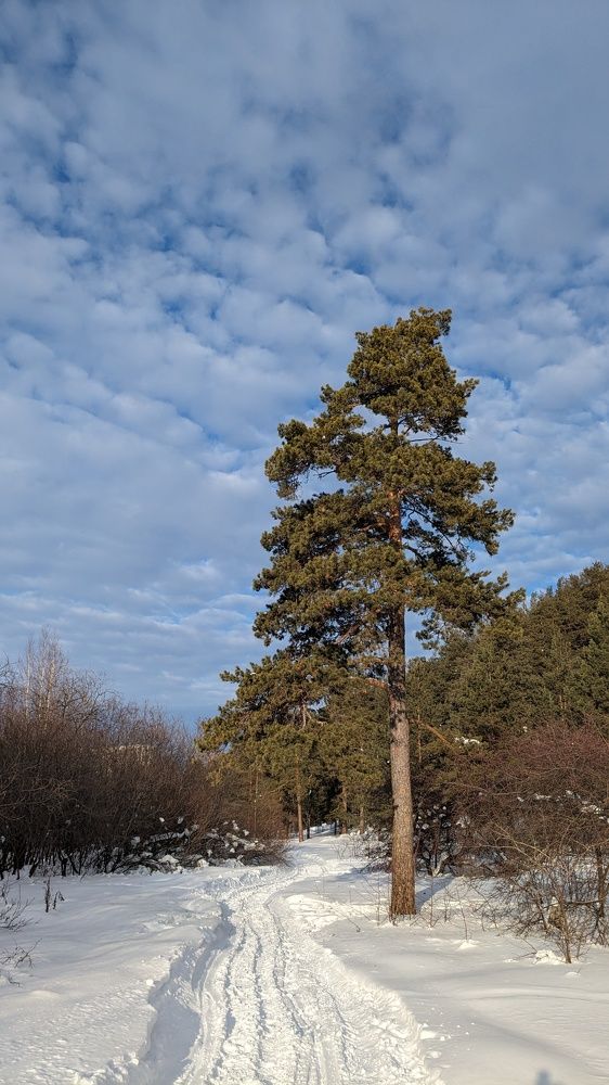 Photograph by Наталья Рассохина