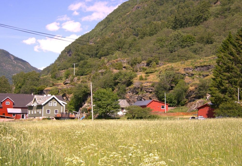 Photograph by Anna Baykova