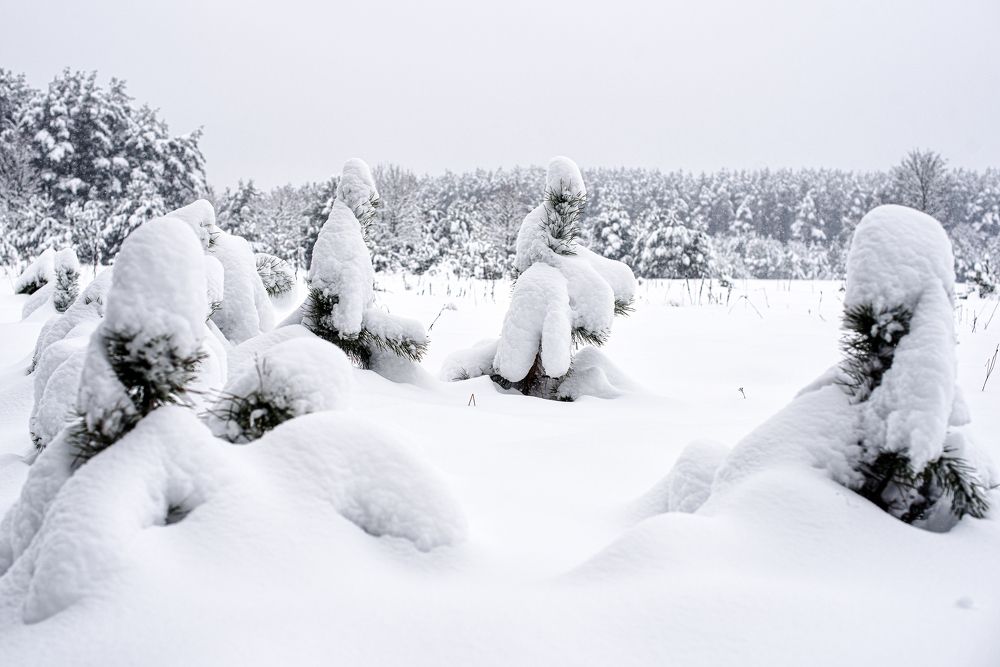 Photograph by Александр Панченко