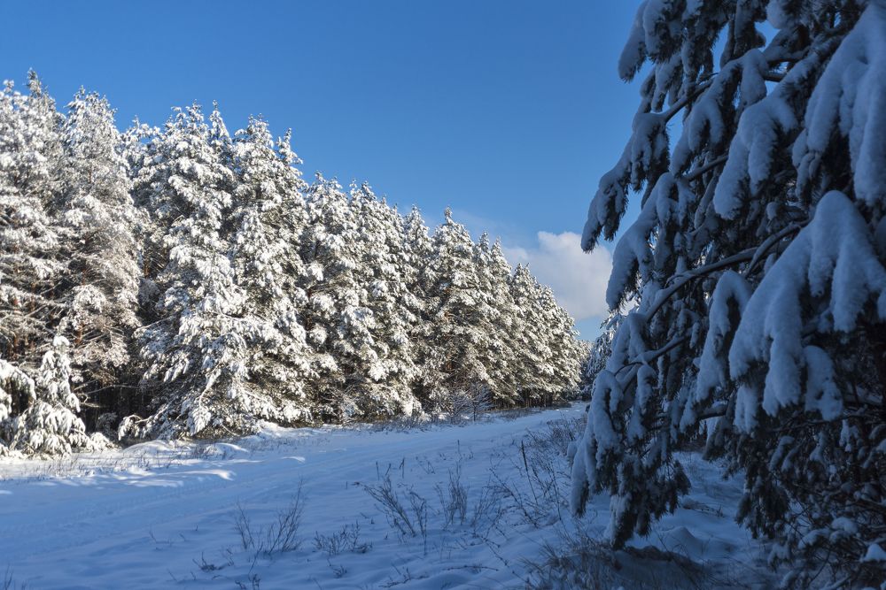 Photograph by Александр Панченко
