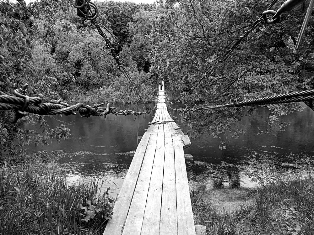 Photograph by Александр Гришин