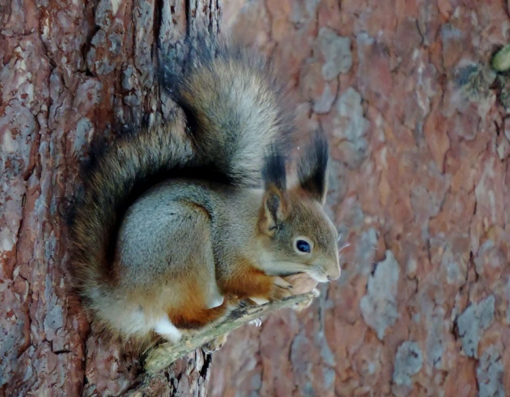 Photograph by Павел Васильев