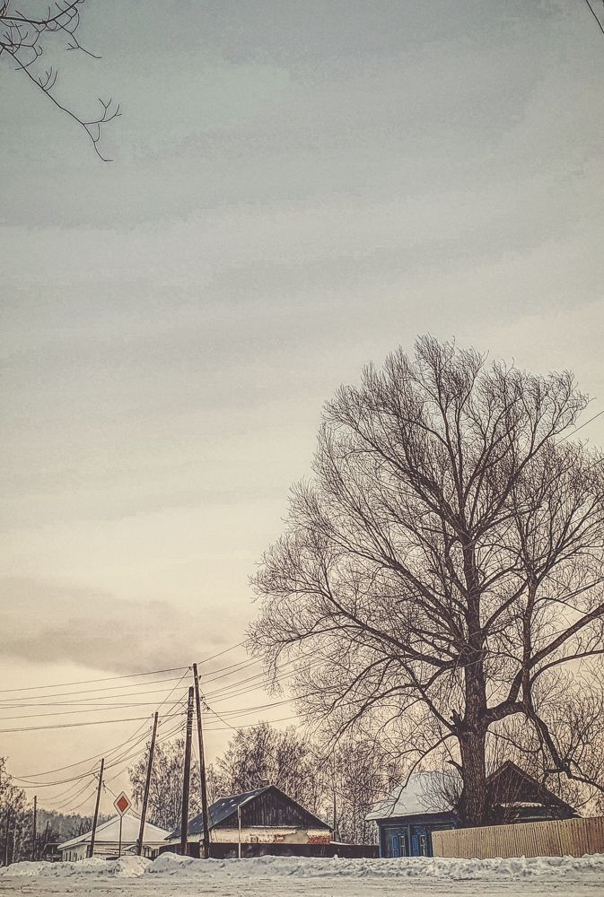 Photograph by Сергей Гриднев