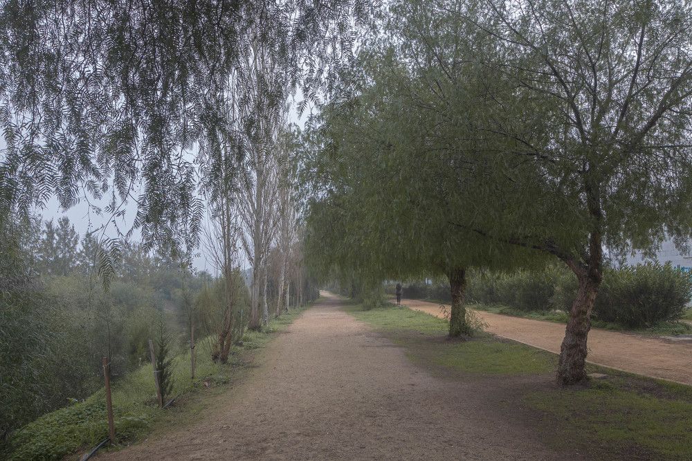 Photograph by Antonis Papaconstantinou