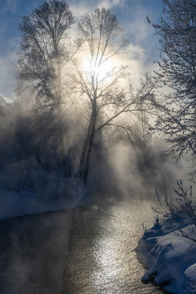 Фотография автора Виталий Гавронский