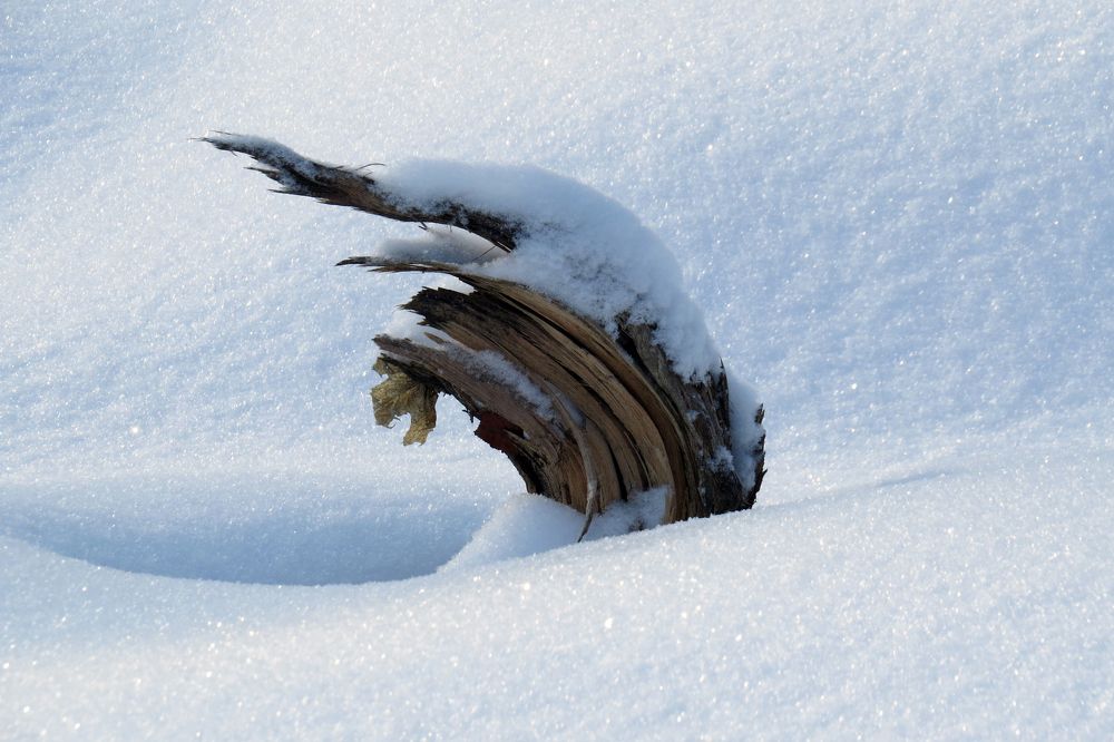 Photograph by Наташа Фишер