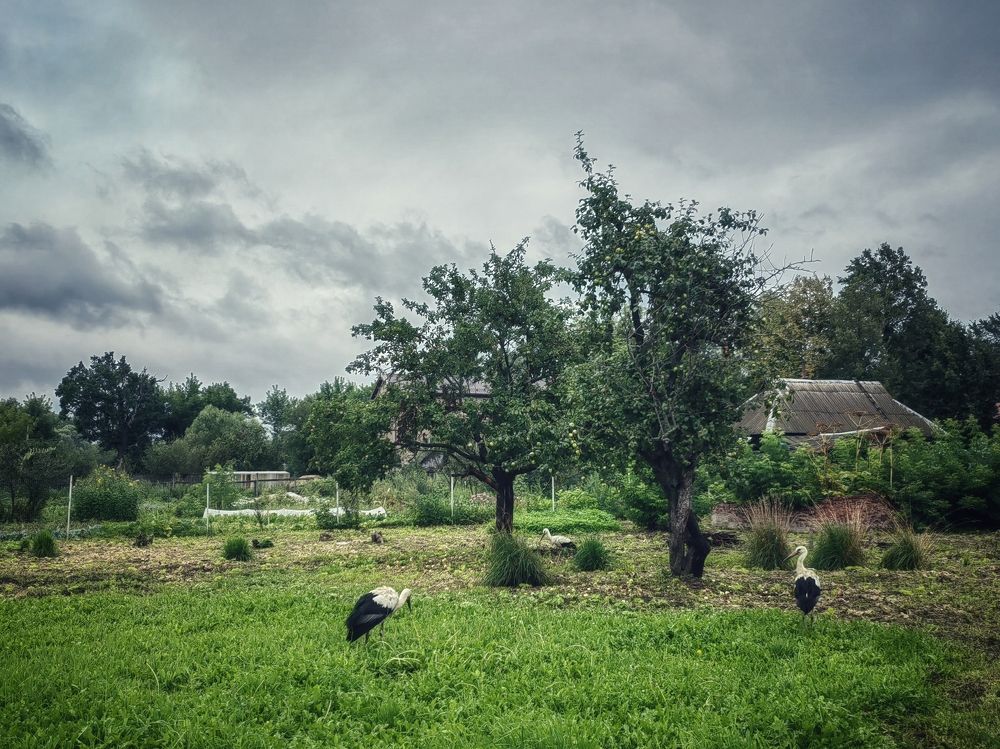 Photograph by Максим