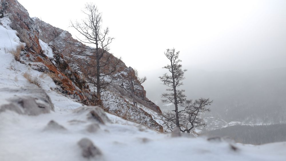 Фотография автора Иван Грин