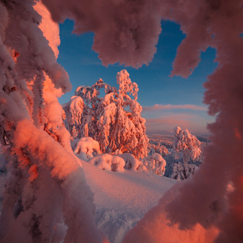 Фотография автора Егор Бушмакин