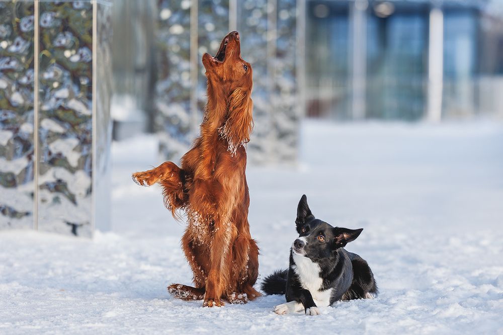 Photograph by Шитиков Владимир