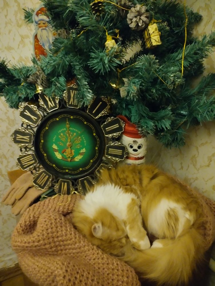 Photograph by Надежда Болтунова