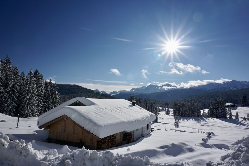 Фотография автора Liudmila Kiermeier