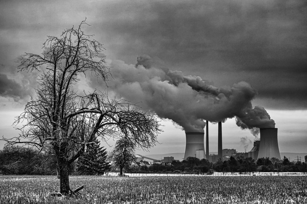 Photograph by Mostafa Salkhori