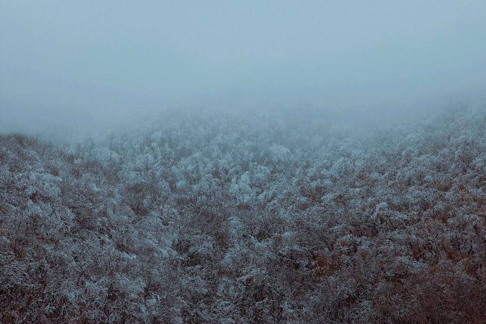 Photograph by Валентина Парфёнова