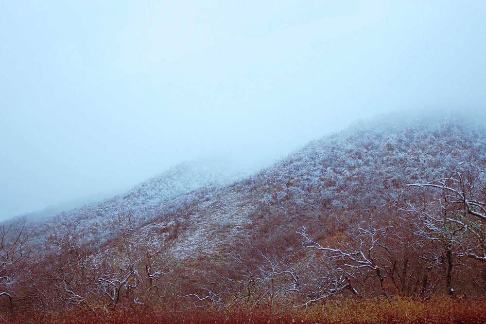 Photograph by Валентина Парфёнова