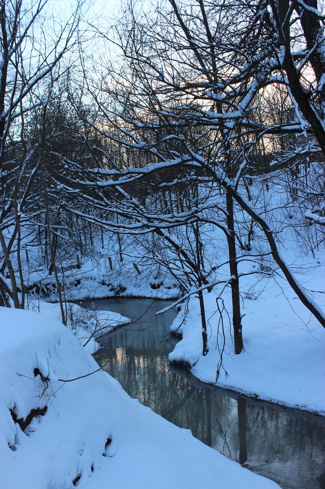 Небо января     January sky