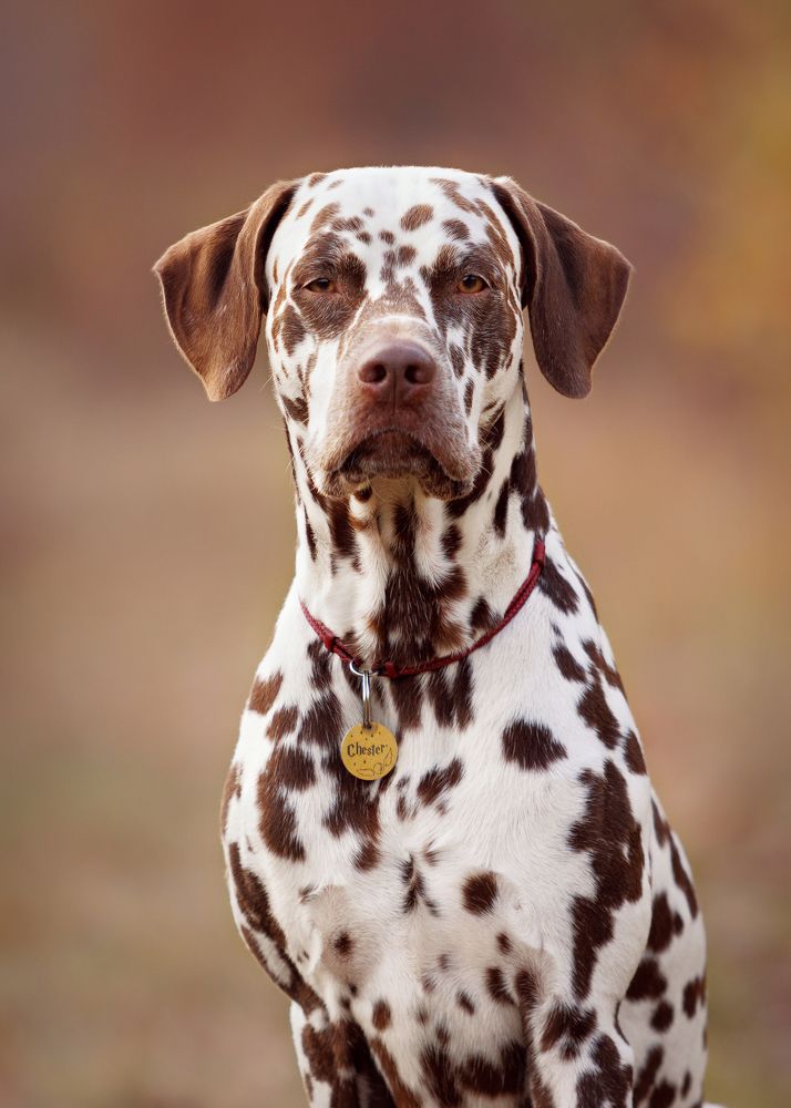 Photograph by Яна Нарбутович