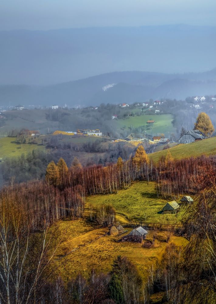 Фотография автора Leompescu Emanuel