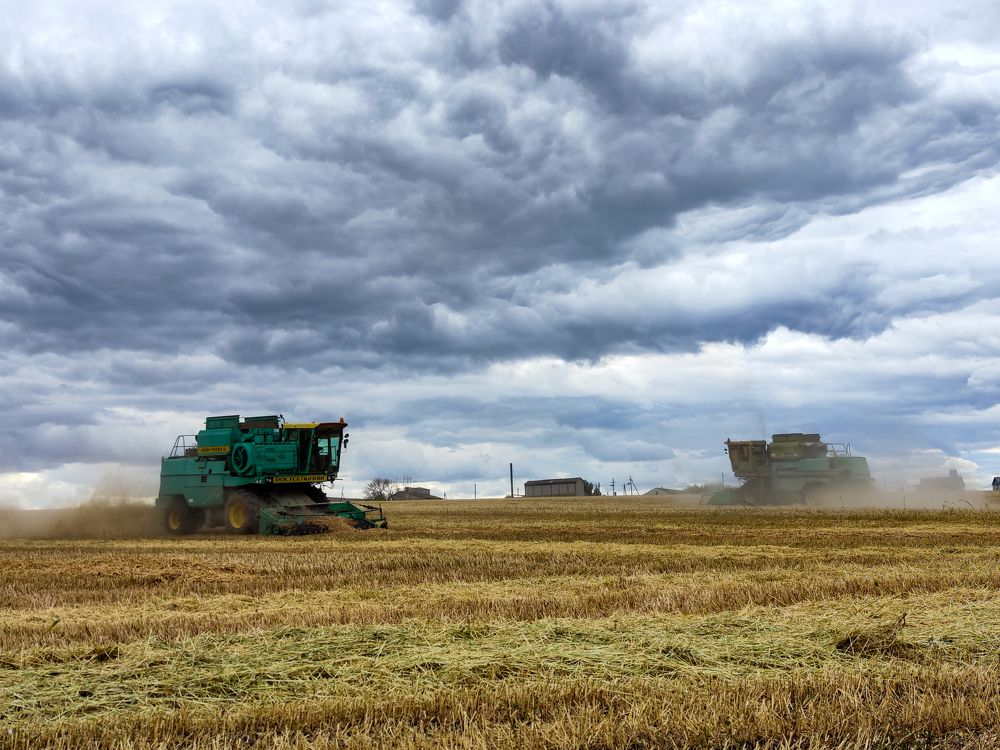 Photograph by Ирина Шибитова