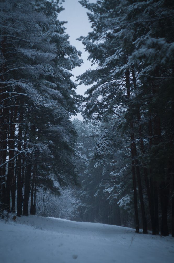 Photograph by Алексей Юдин