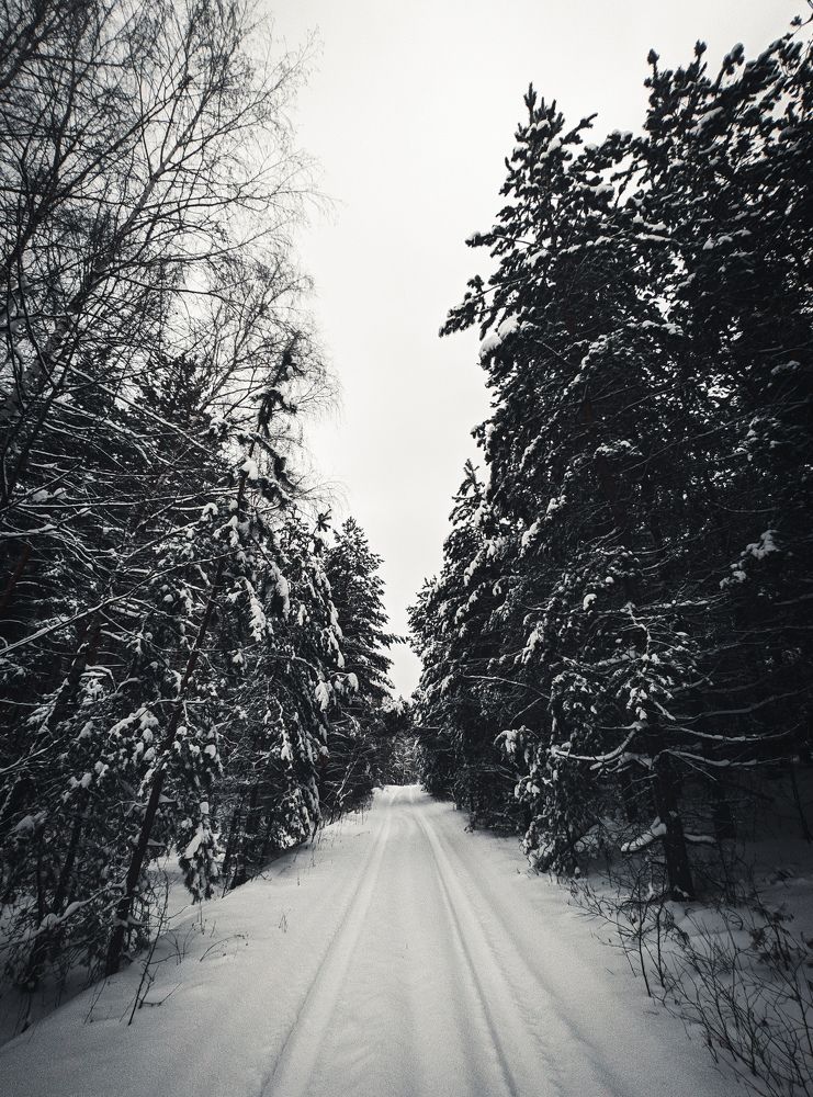 Photograph by Алексей Юдин