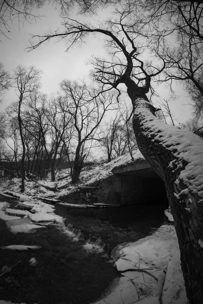 Photograph by Александр Ходакин