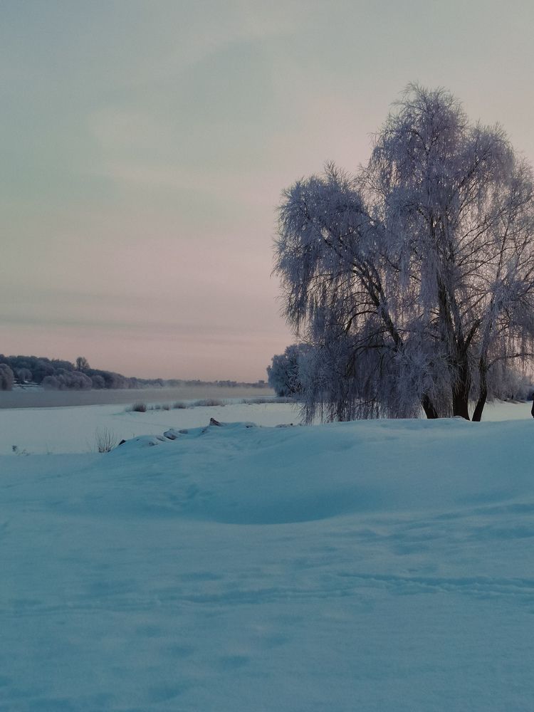 Photograph by Мария Кузнецова