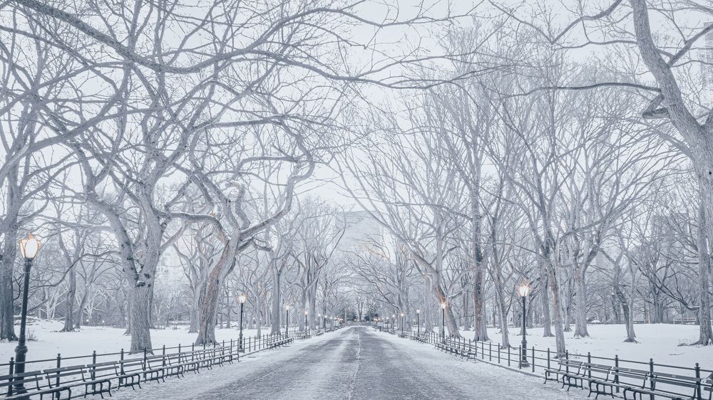 Photograph by Achintya Adhikari