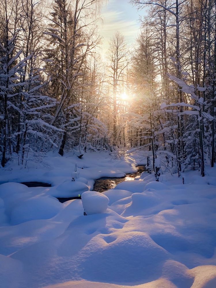 Зимняя сказка.