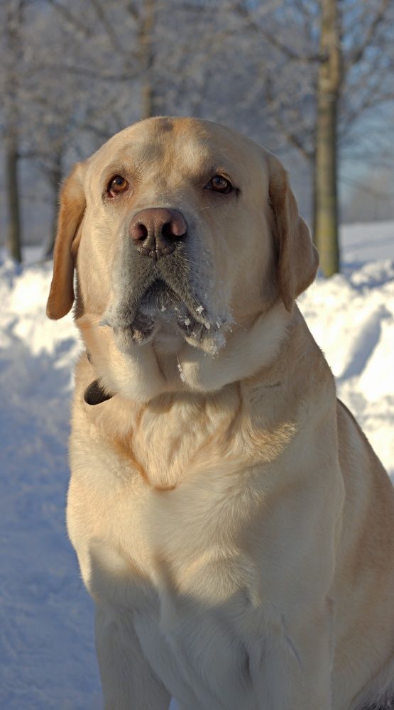 Photograph by Елена Казакова