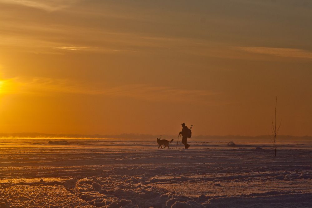 Возвращение домой