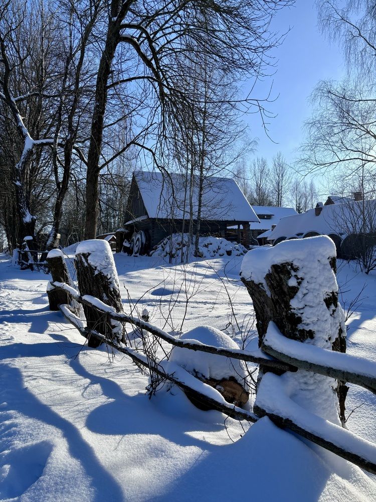 Photograph by Halina Mitsevich