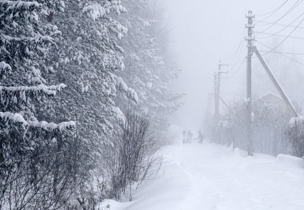 Фотография автора Ольга Лихтарь