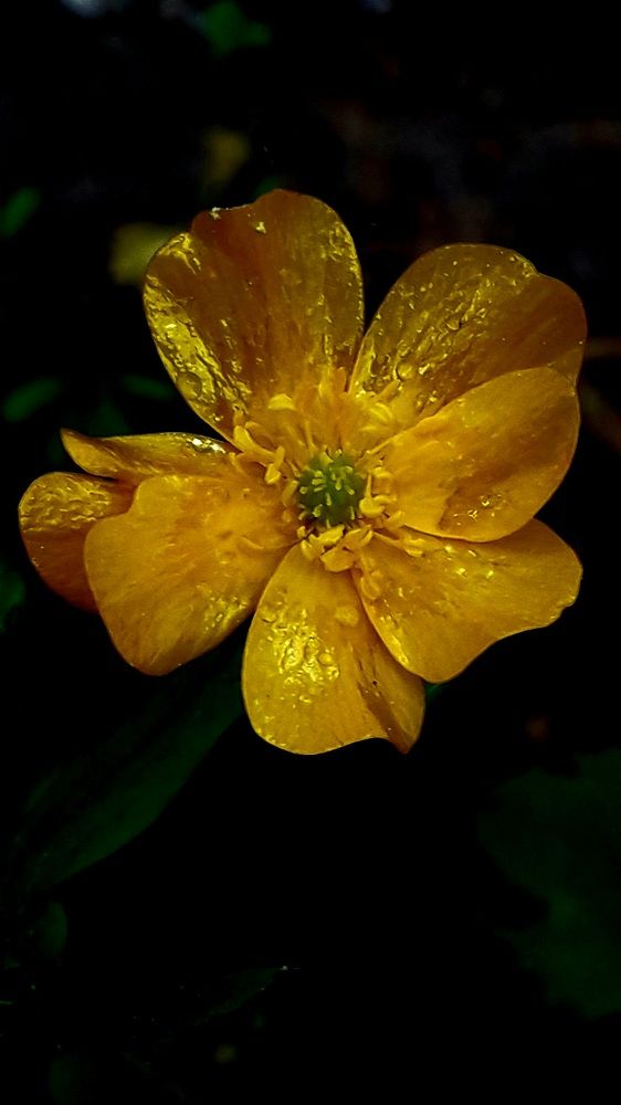 Photograph by Татьяна Солтан