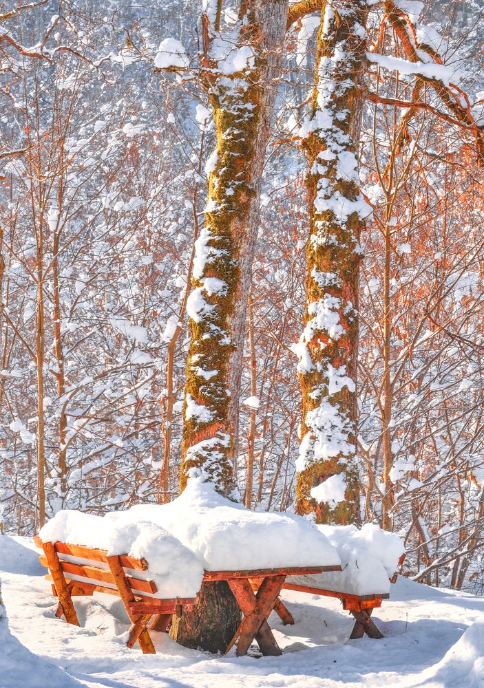 Фотография автора Leompescu Emanuel